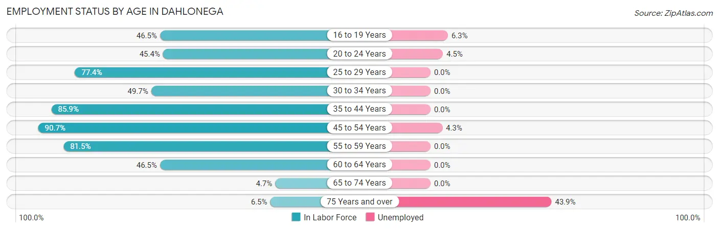 Employment Status by Age in Dahlonega
