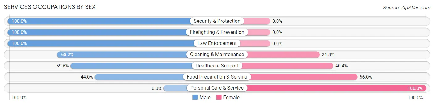 Services Occupations by Sex in Dallas