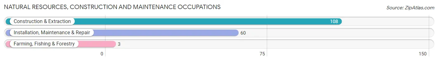 Natural Resources, Construction and Maintenance Occupations in Dawsonville