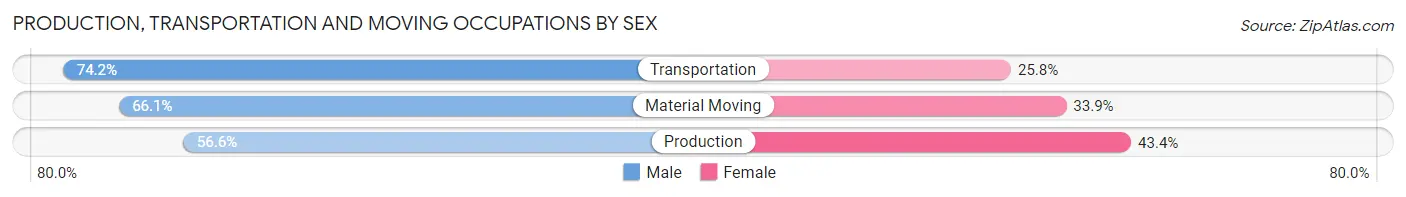 Production, Transportation and Moving Occupations by Sex in Doraville