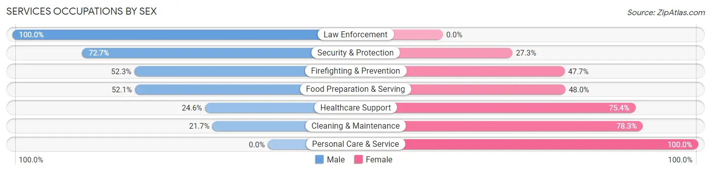 Services Occupations by Sex in Doraville