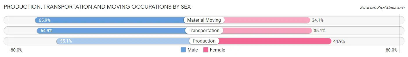 Production, Transportation and Moving Occupations by Sex in Duluth