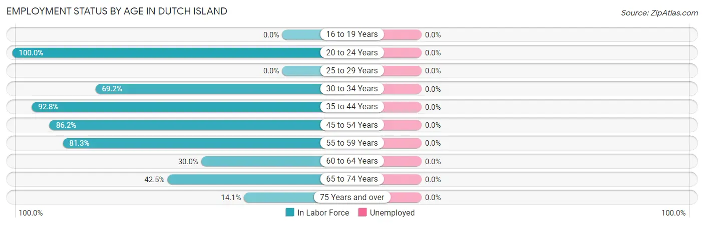 Employment Status by Age in Dutch Island