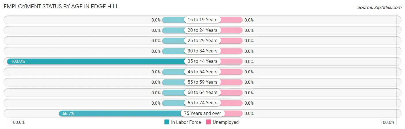 Employment Status by Age in Edge Hill