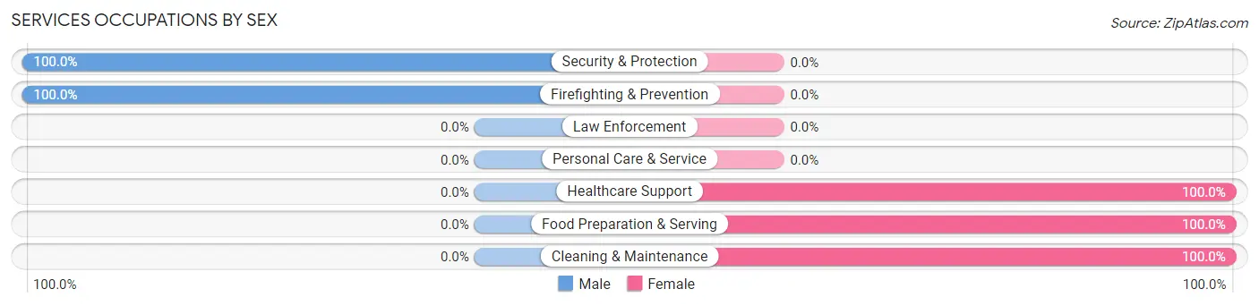 Services Occupations by Sex in Ellenton