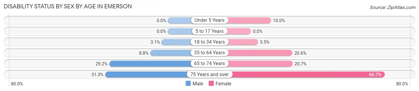 Disability Status by Sex by Age in Emerson