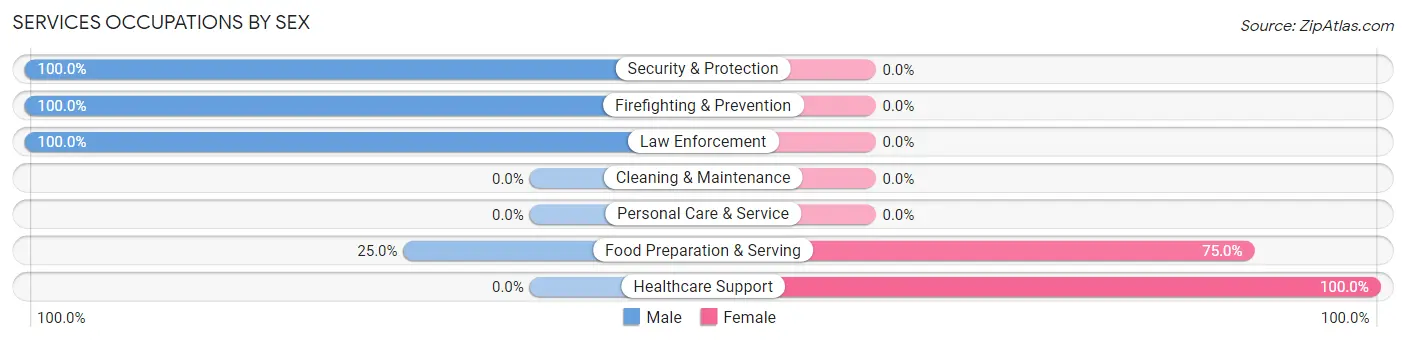 Services Occupations by Sex in Enigma