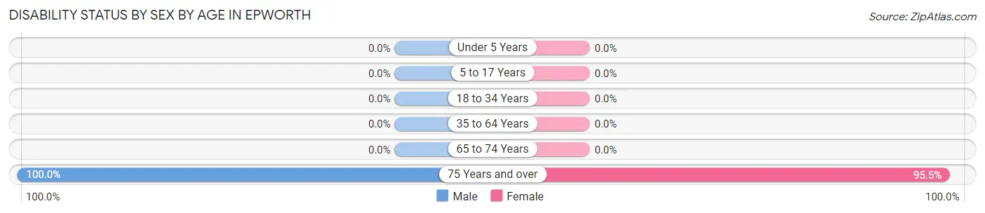 Disability Status by Sex by Age in Epworth