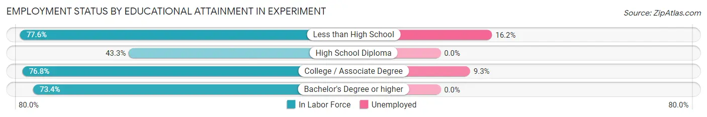 Employment Status by Educational Attainment in Experiment