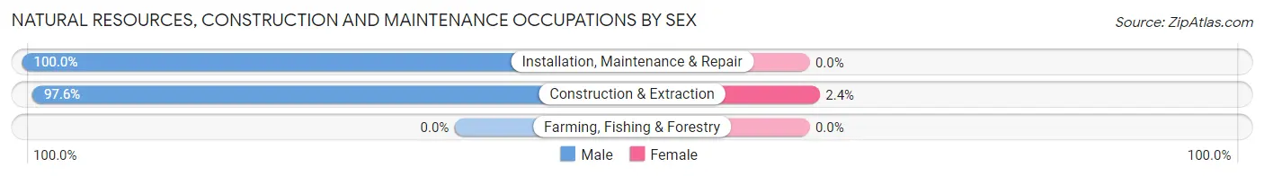 Natural Resources, Construction and Maintenance Occupations by Sex in Gainesville