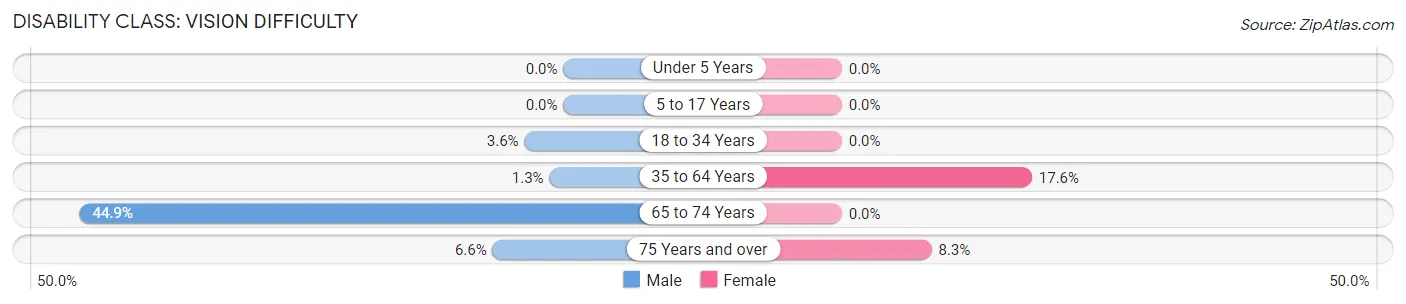 Disability in Garden City: <span>Vision Difficulty</span>