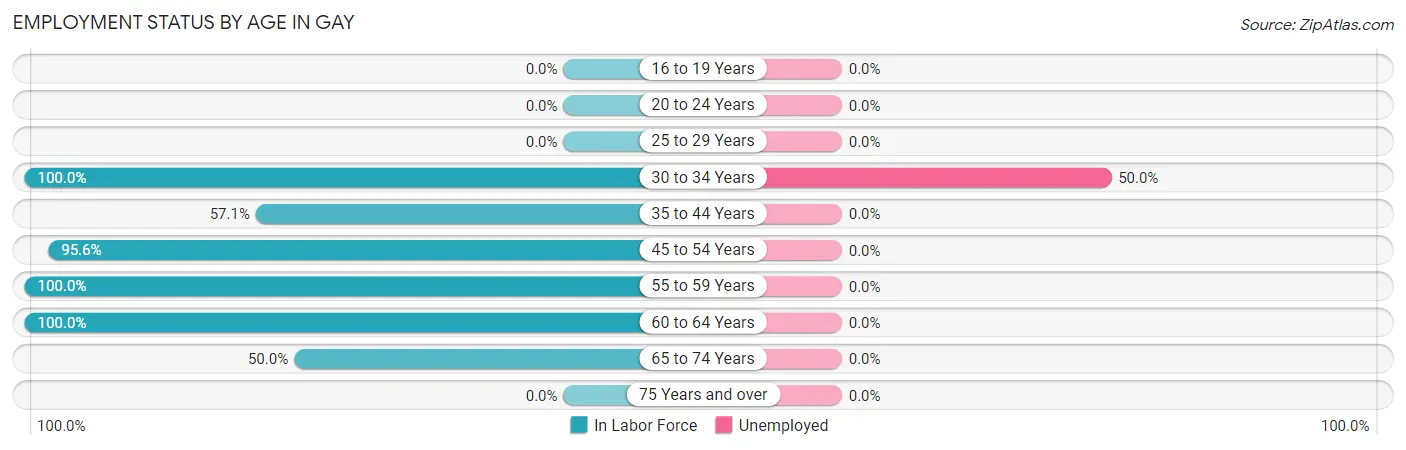 Employment Status by Age in Gay