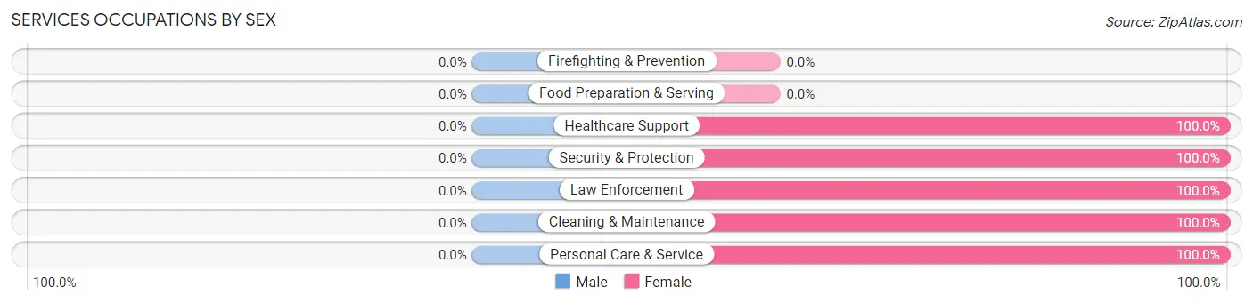 Services Occupations by Sex in Gay