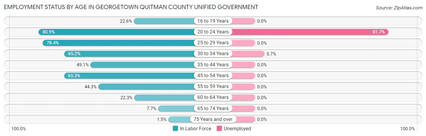 Employment Status by Age in Georgetown Quitman County unified government