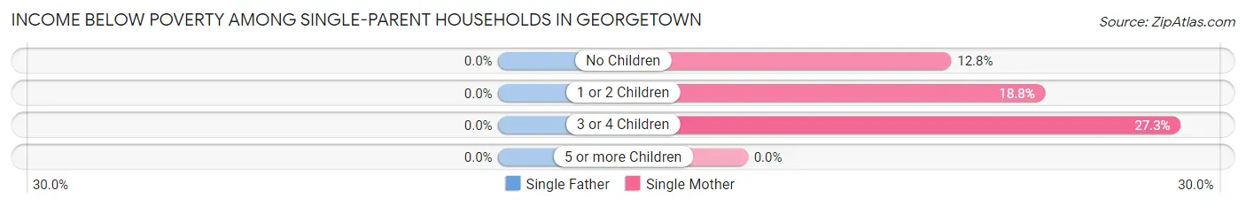 Income Below Poverty Among Single-Parent Households in Georgetown