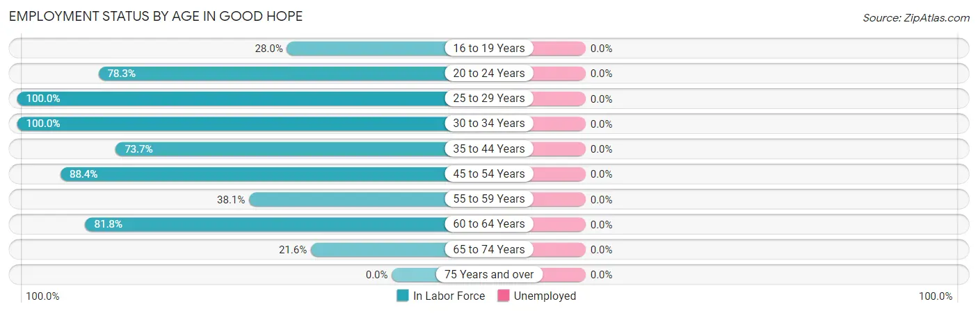Employment Status by Age in Good Hope