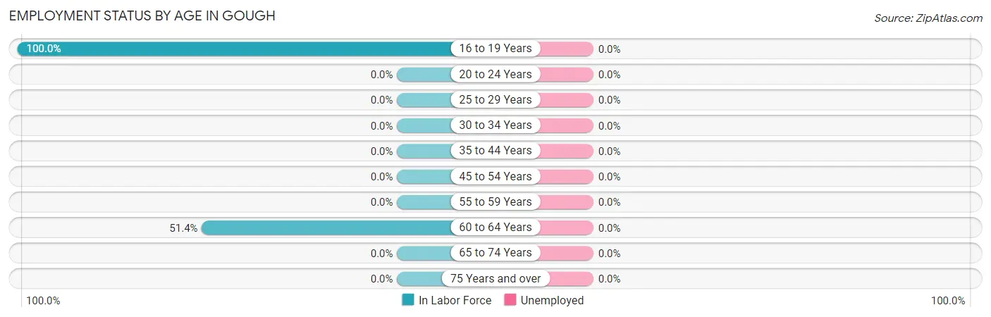 Employment Status by Age in Gough