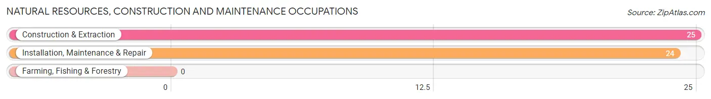 Natural Resources, Construction and Maintenance Occupations in Grayson