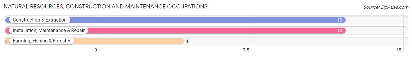 Natural Resources, Construction and Maintenance Occupations in Gumbranch