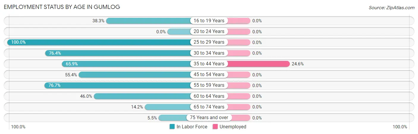 Employment Status by Age in Gumlog