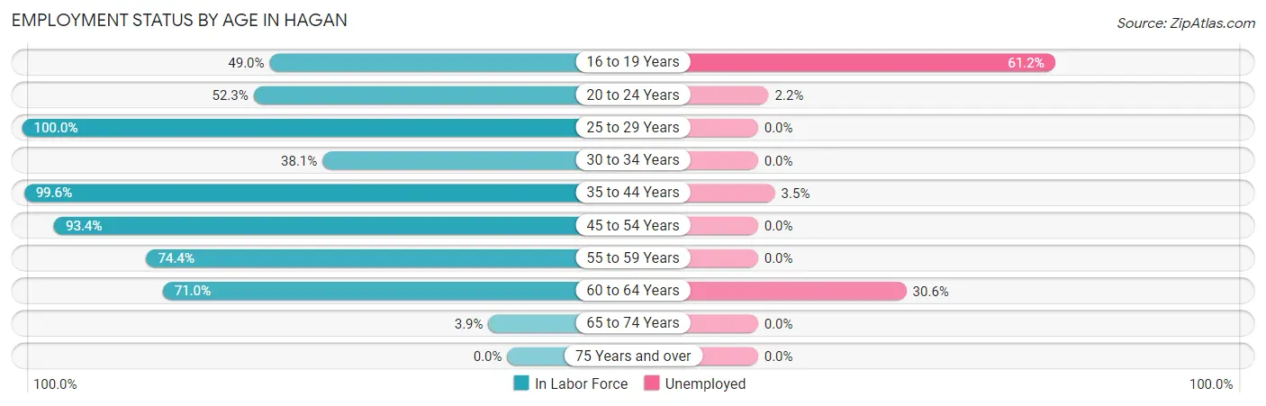 Employment Status by Age in Hagan