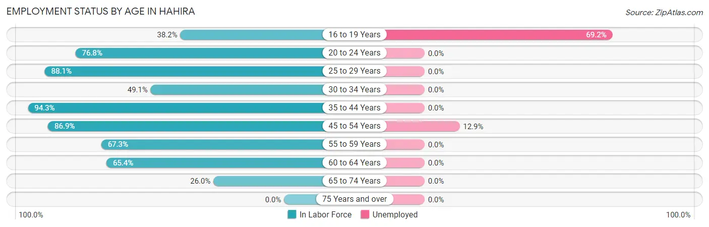 Employment Status by Age in Hahira