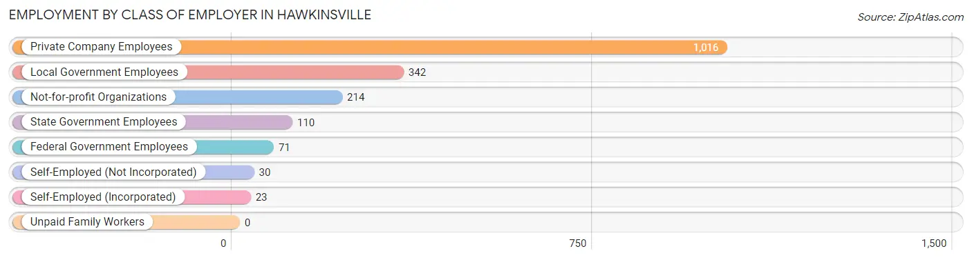 Employment by Class of Employer in Hawkinsville