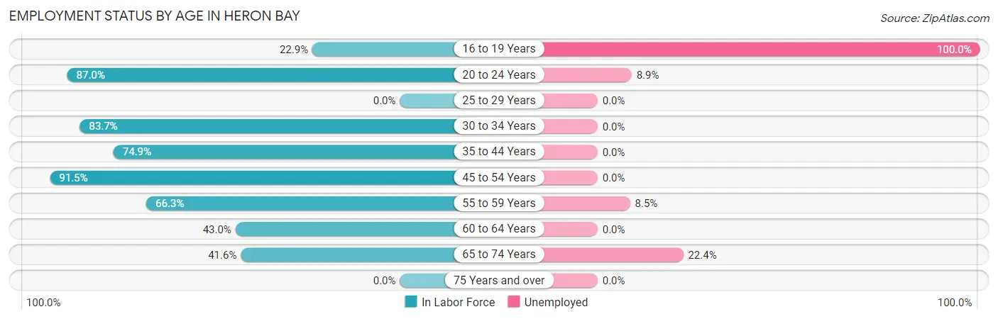 Employment Status by Age in Heron Bay