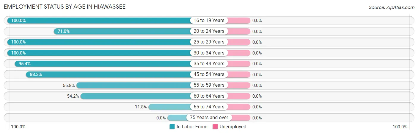 Employment Status by Age in Hiawassee