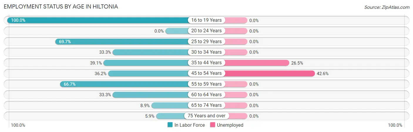 Employment Status by Age in Hiltonia