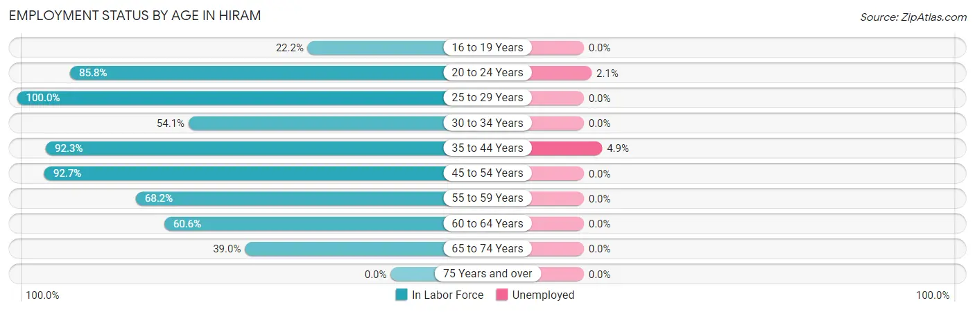 Employment Status by Age in Hiram