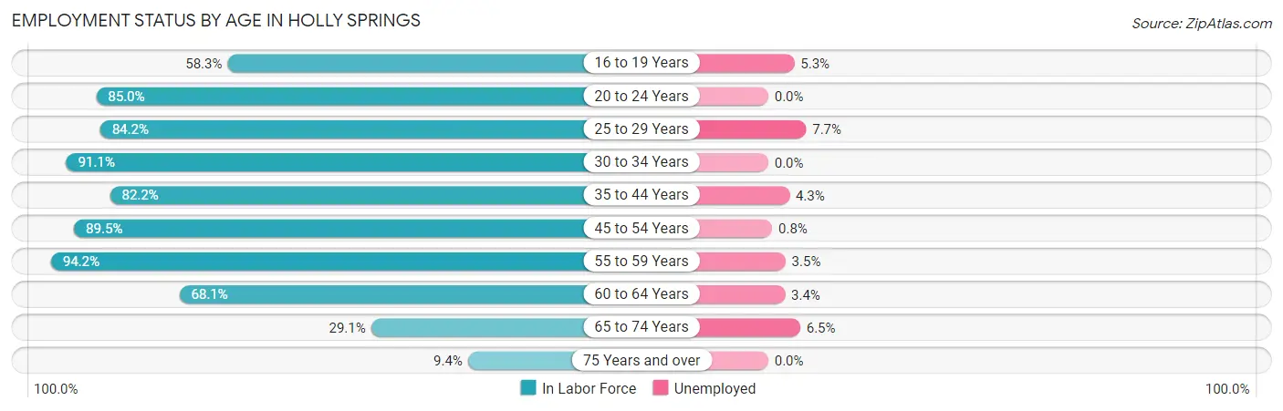 Employment Status by Age in Holly Springs