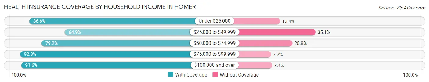 Health Insurance Coverage by Household Income in Homer