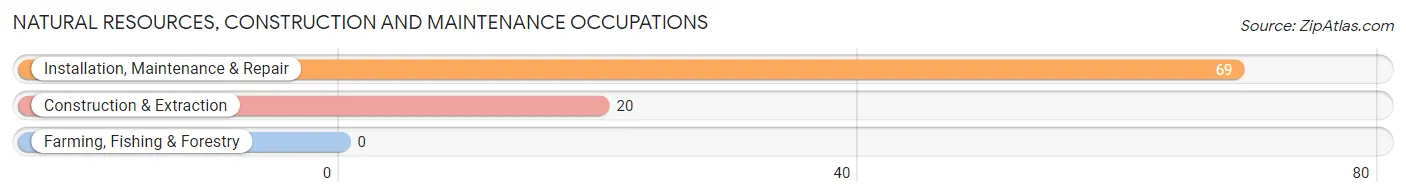 Natural Resources, Construction and Maintenance Occupations in Homer