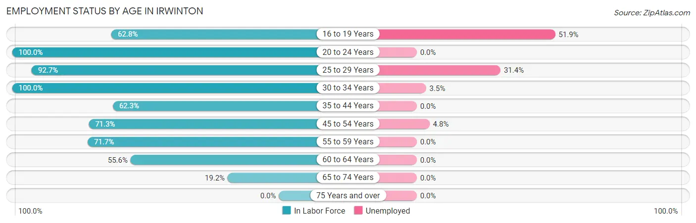 Employment Status by Age in Irwinton