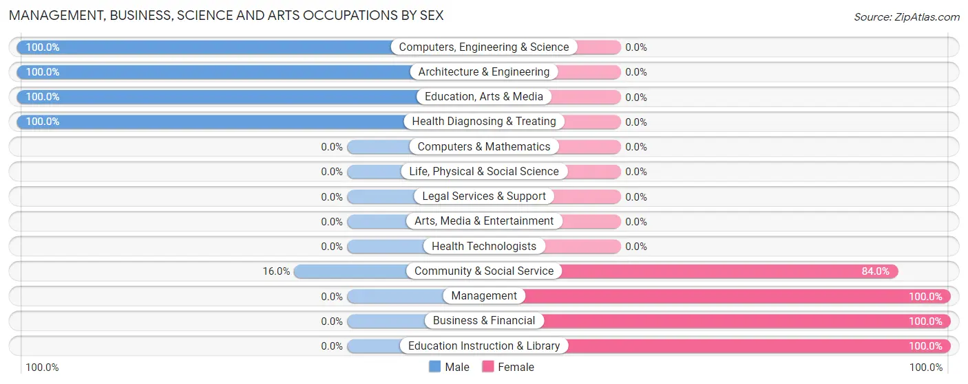 Management, Business, Science and Arts Occupations by Sex in Irwinton