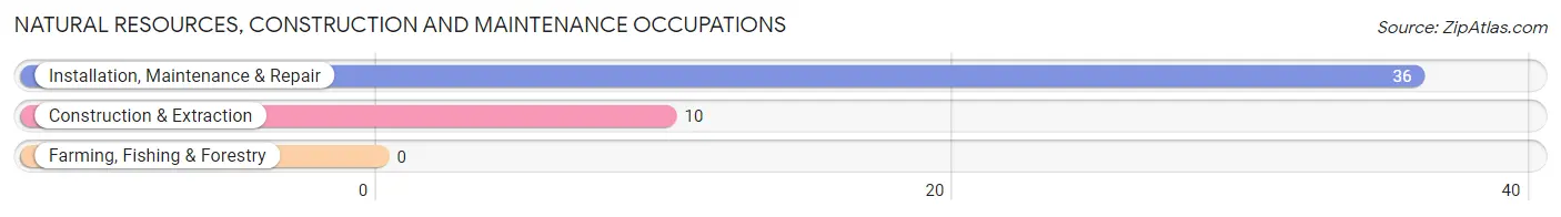 Natural Resources, Construction and Maintenance Occupations in Ivey