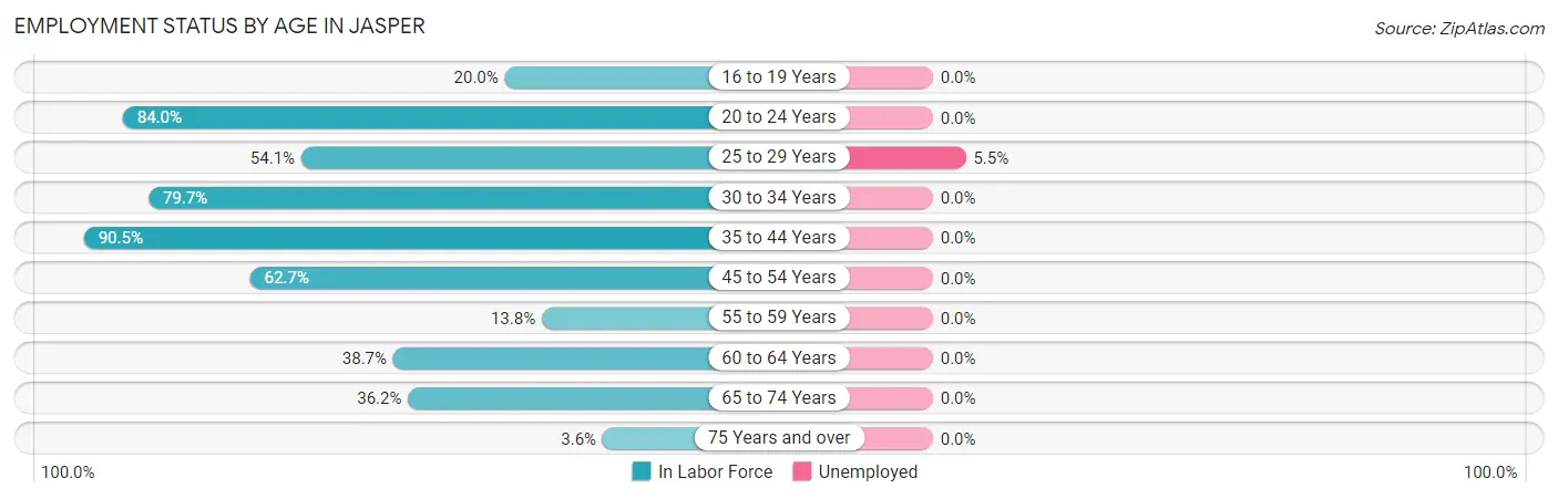 Employment Status by Age in Jasper