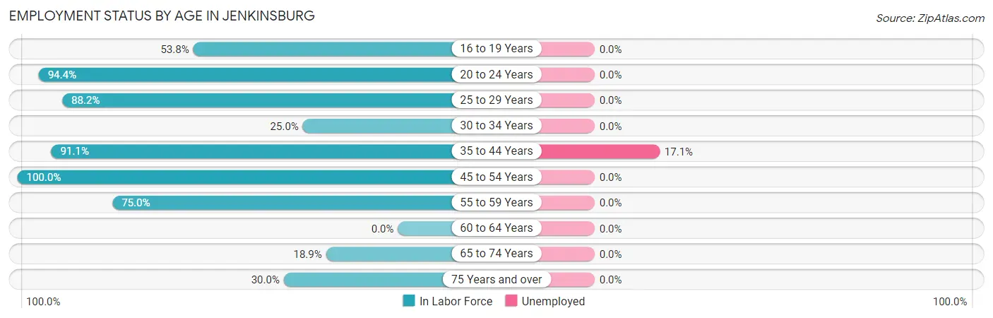 Employment Status by Age in Jenkinsburg