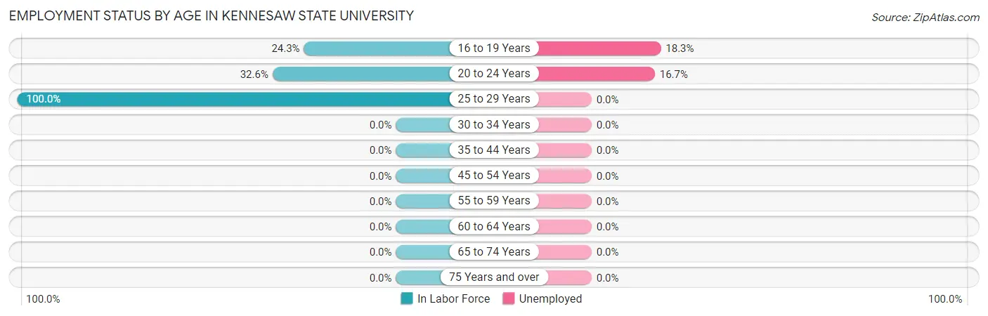 Employment Status by Age in Kennesaw State University