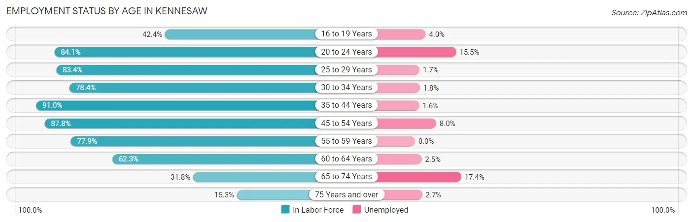 Employment Status by Age in Kennesaw