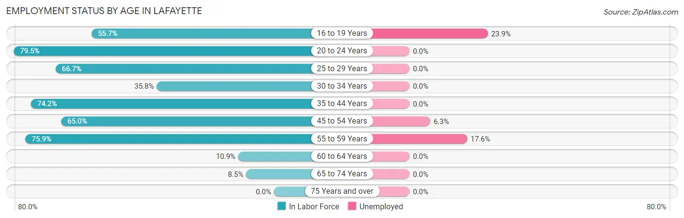 Employment Status by Age in LaFayette