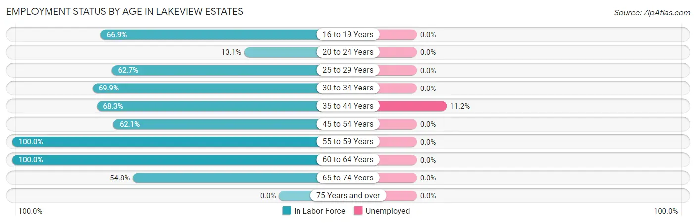 Employment Status by Age in Lakeview Estates