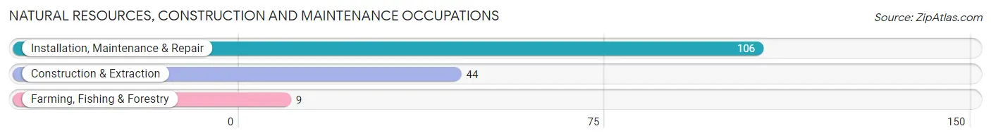 Natural Resources, Construction and Maintenance Occupations in Lindale