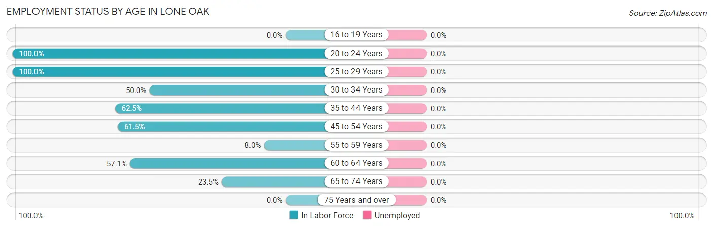 Employment Status by Age in Lone Oak