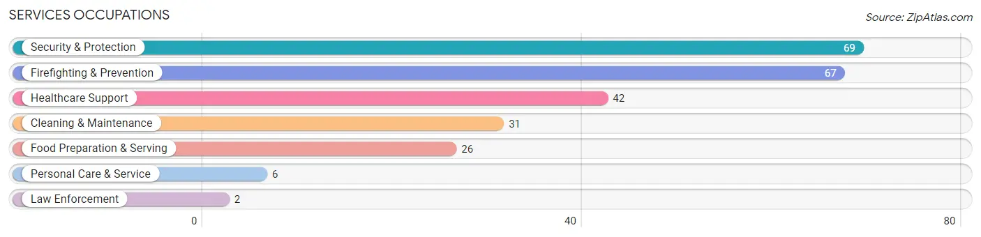 Services Occupations in Ludowici