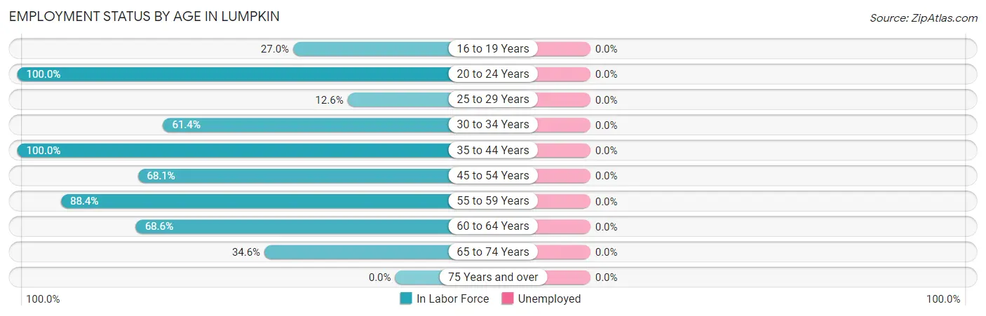 Employment Status by Age in Lumpkin