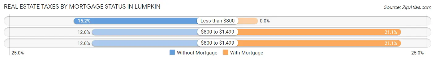 Real Estate Taxes by Mortgage Status in Lumpkin