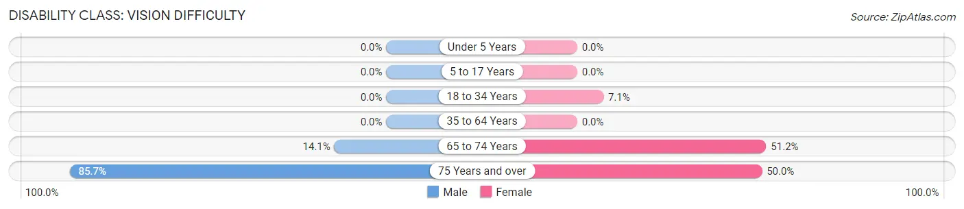 Disability in Lumpkin: <span>Vision Difficulty</span>