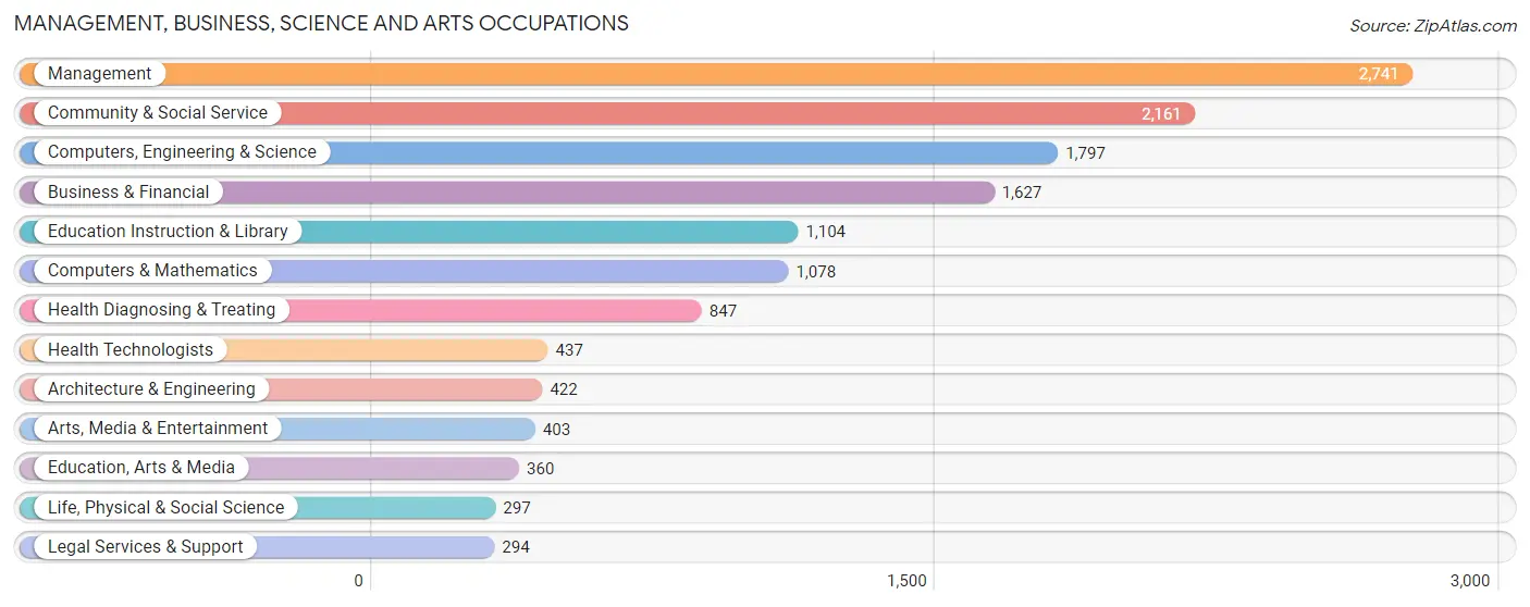 Management, Business, Science and Arts Occupations in Mableton